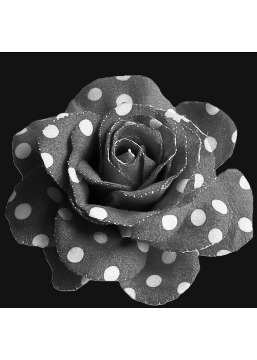 Black, white, and grey graphic of a rose with white polka dots