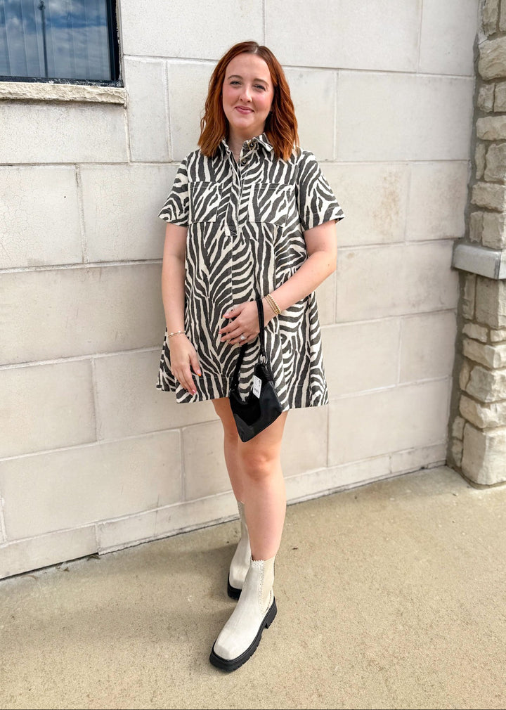 Andi Zebra Print Mini Dress