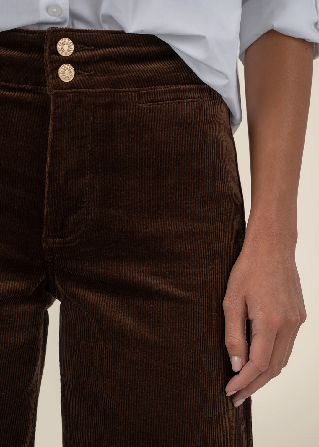 Close up of dark brown corduroy pants with gold buttons