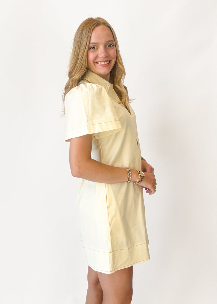 Penny Pleated Mini Dress