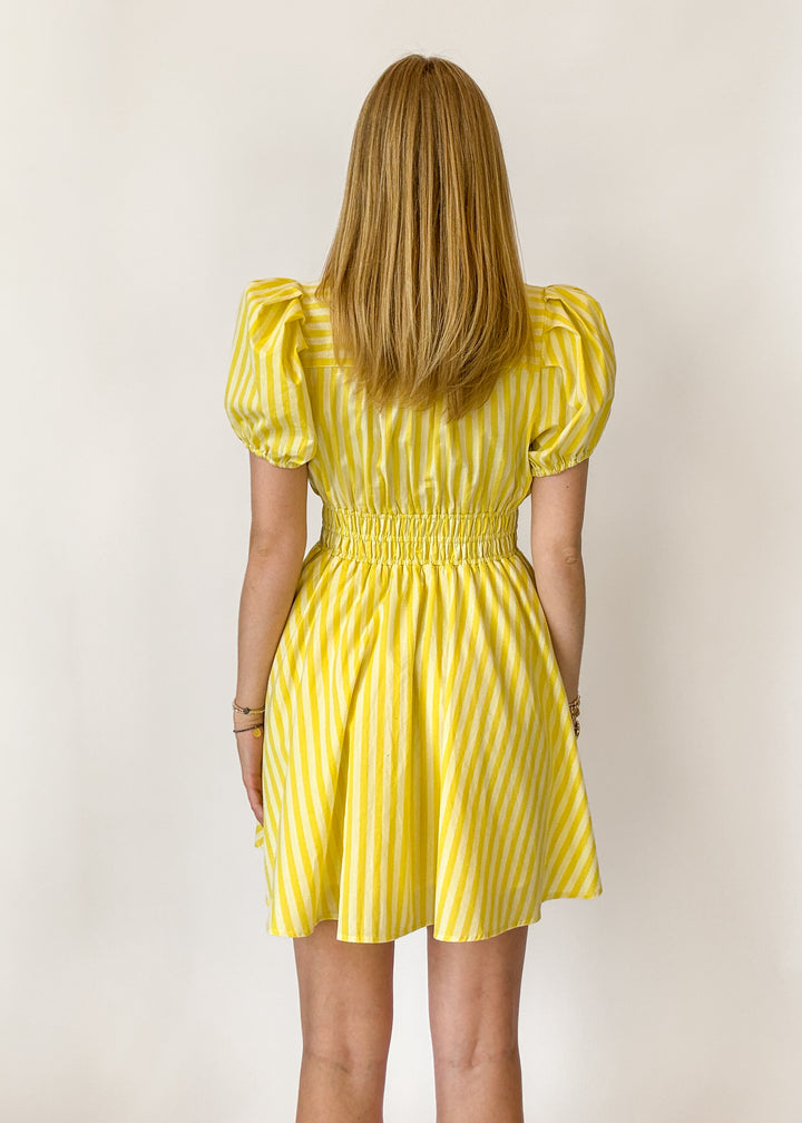 Lettie Striped Mini Dress